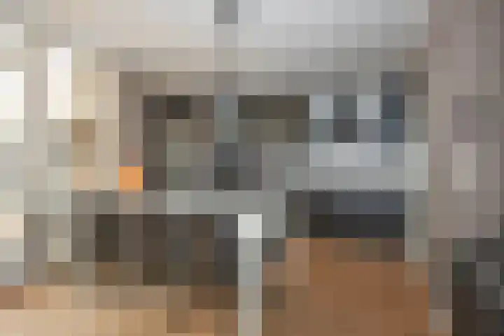 Dorus Rijkersstraat 9 Borne thumbnail 9