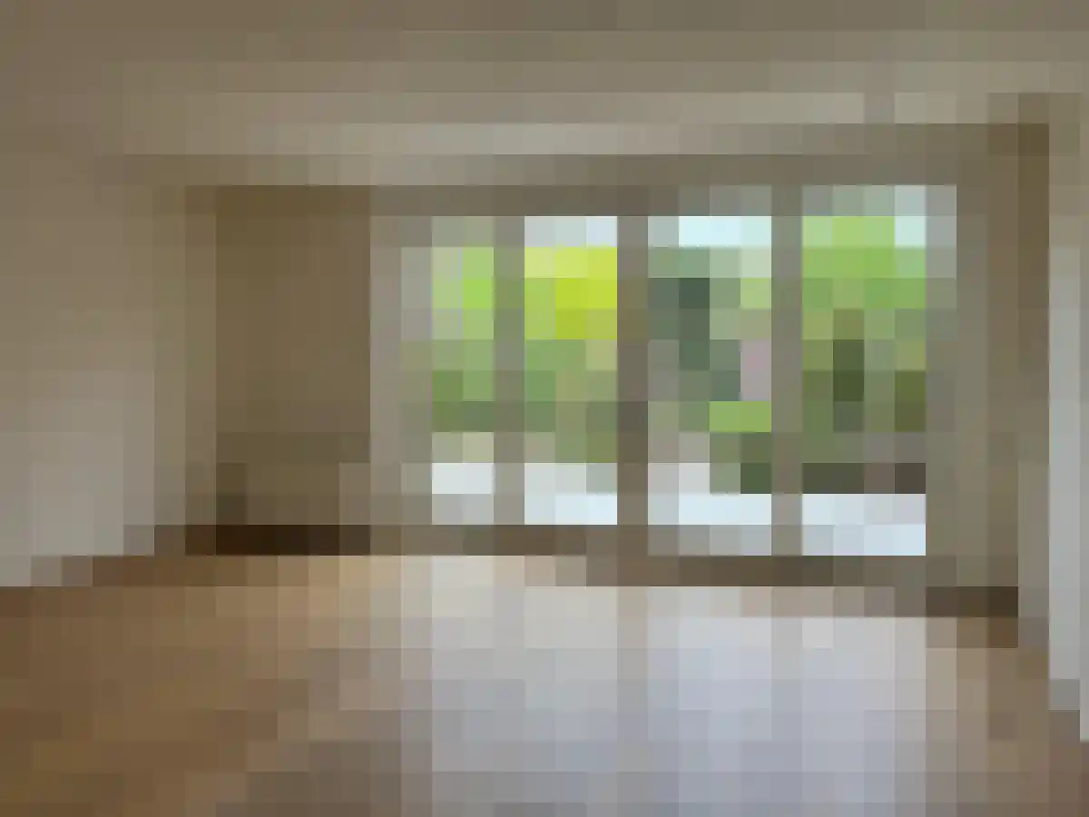 Dorus van den Elsenhof 6 Beek en Donk thumbnail 6