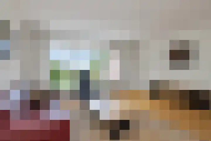 Dorusakker 16 Warmenhuizen thumbnail 12