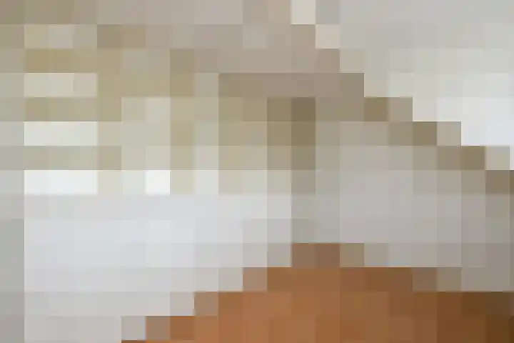 Dorusakker 16 Warmenhuizen thumbnail 34