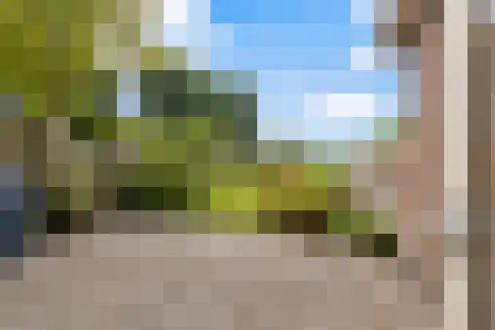 Dorusakker 16 Warmenhuizen thumbnail 35