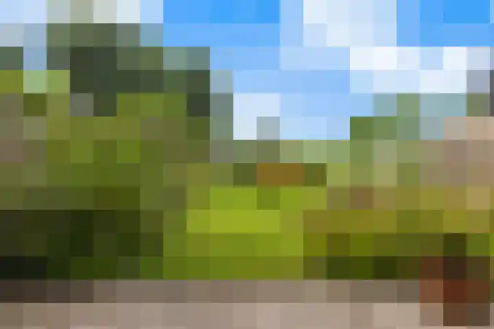 Dorusakker 16 Warmenhuizen thumbnail 36