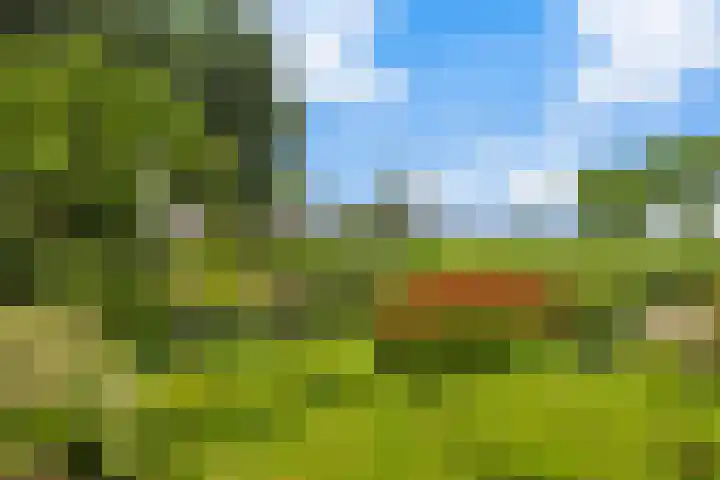 Dorusakker 16 Warmenhuizen thumbnail 37
