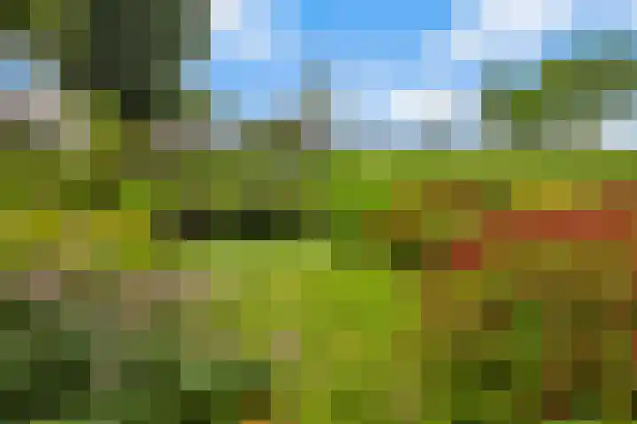 Dorusakker 16 Warmenhuizen thumbnail 38