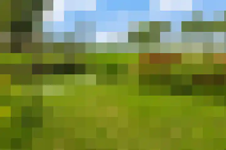 Dorusakker 16 Warmenhuizen thumbnail 40