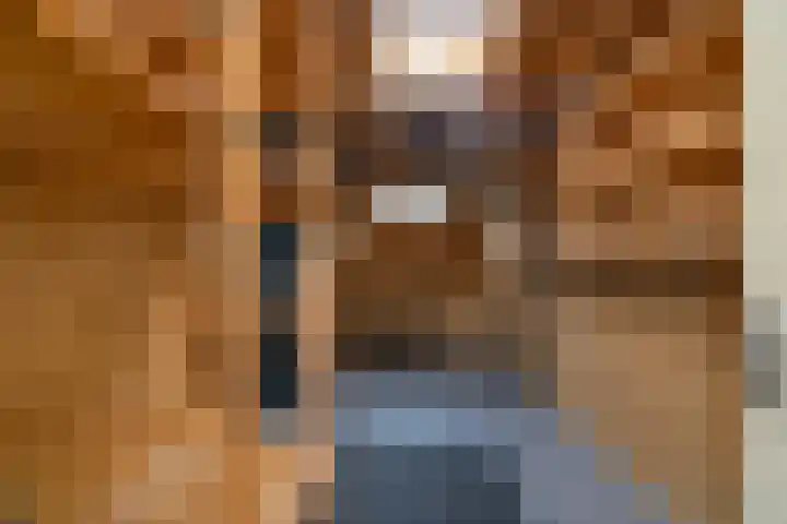 Dorusakker 16 Warmenhuizen thumbnail 41