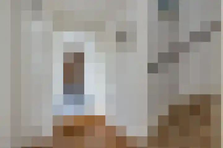 Dorusakker 16 Warmenhuizen thumbnail 7