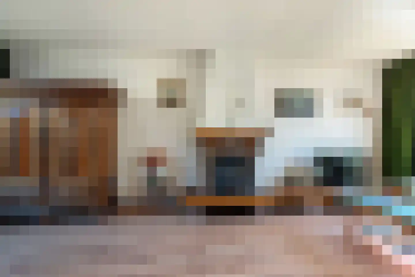 Dosinstraat 10 Ter Aar thumbnail 11