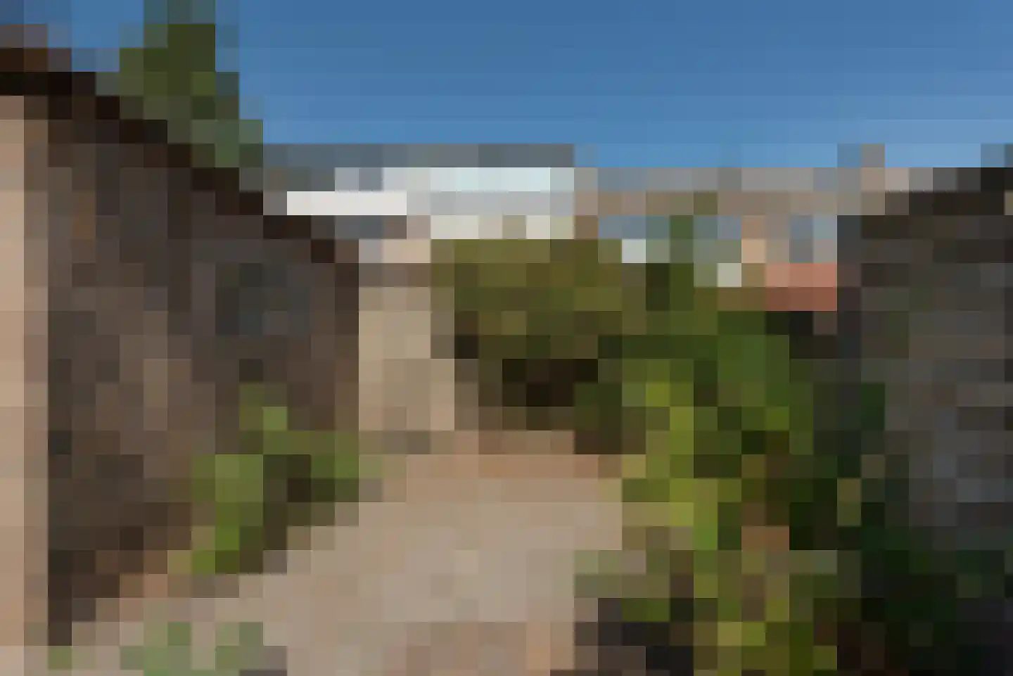 Dosinstraat 10 Ter Aar thumbnail 25