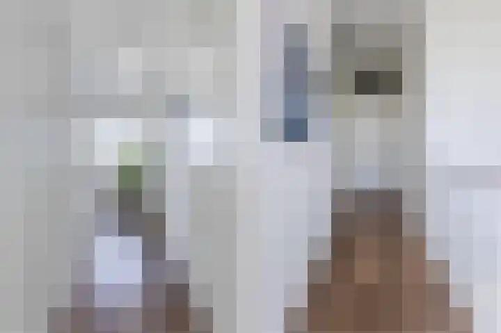 Dosiohof 8 Rotterdam thumbnail 10