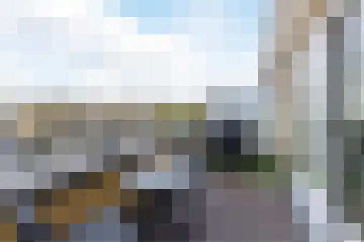 Dosiohof 8 Rotterdam thumbnail 18