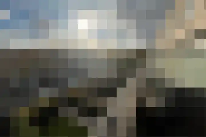 Dosiohof 8 Rotterdam thumbnail 19