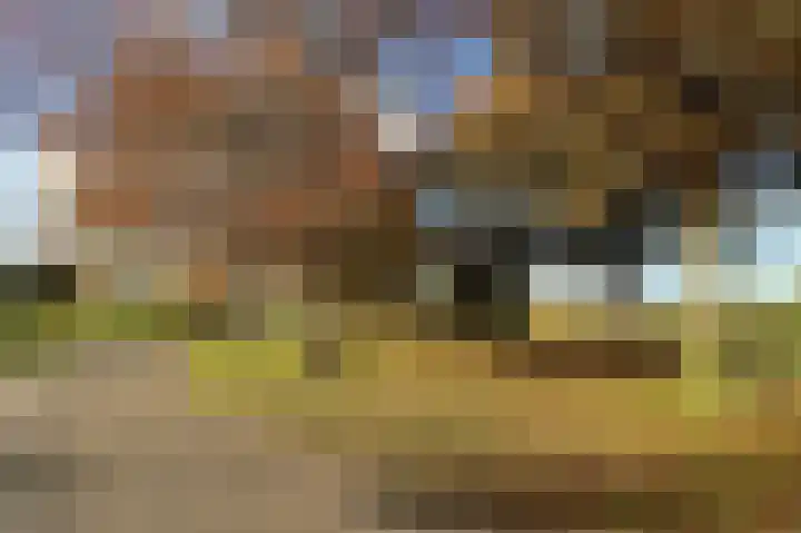 Dosiohof 8 Rotterdam thumbnail 23