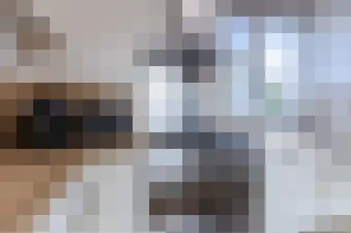 Dosiohof 8 Rotterdam thumbnail 5