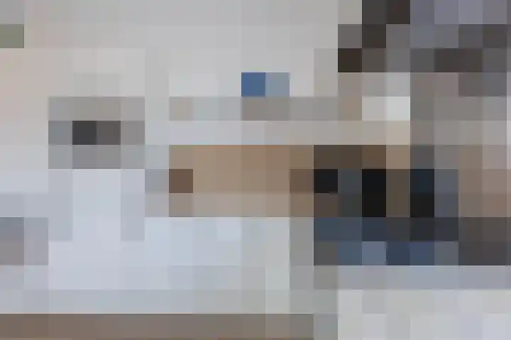 Dosiohof 8 Rotterdam thumbnail 6