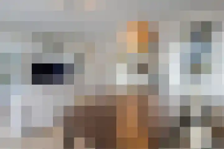 Dosiohof 8 Rotterdam thumbnail 7