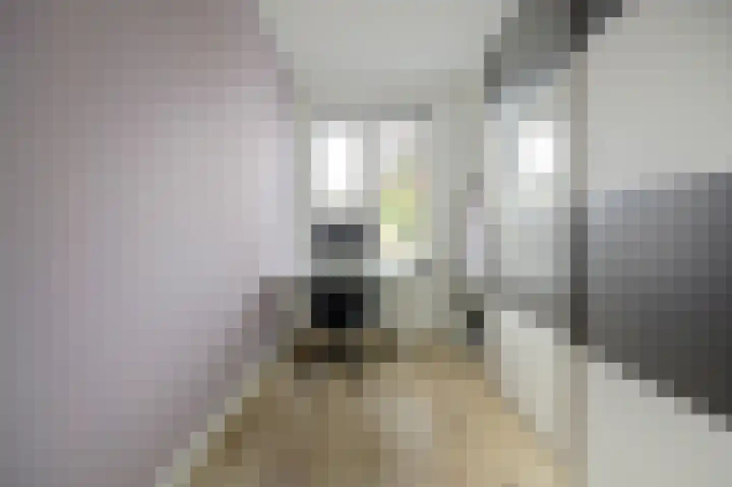 Dosiostraat 121 Rotterdam thumbnail 21