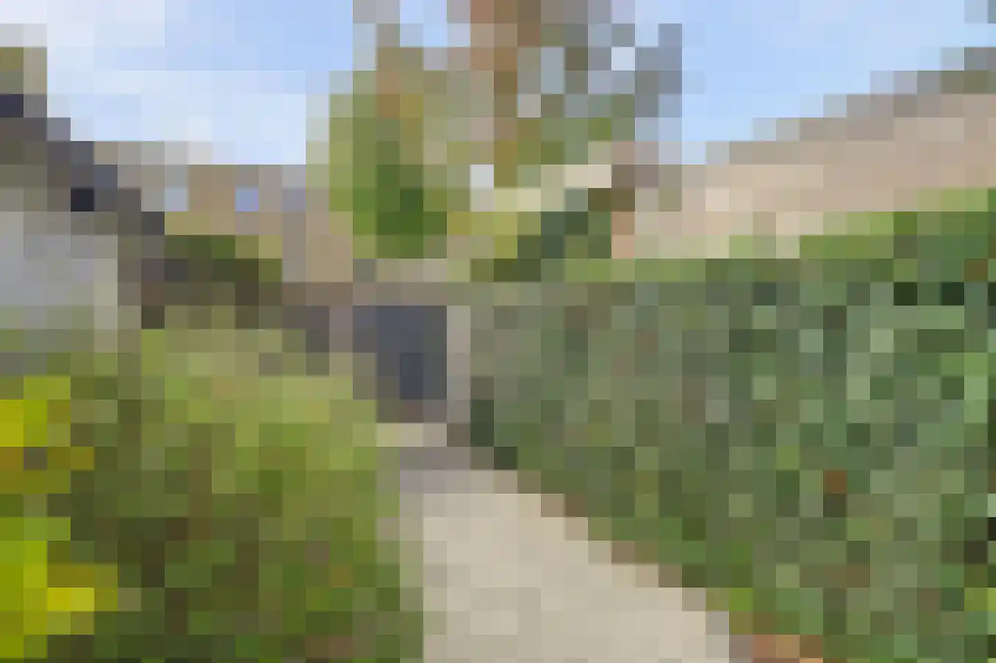 Dosiostraat 121 Rotterdam thumbnail 35