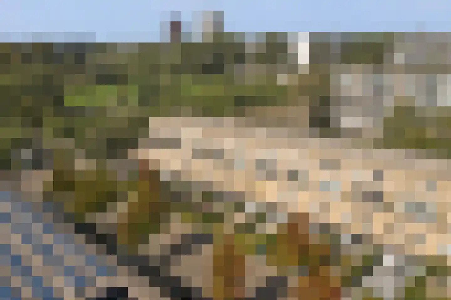 Dosiostraat 121 Rotterdam thumbnail 37