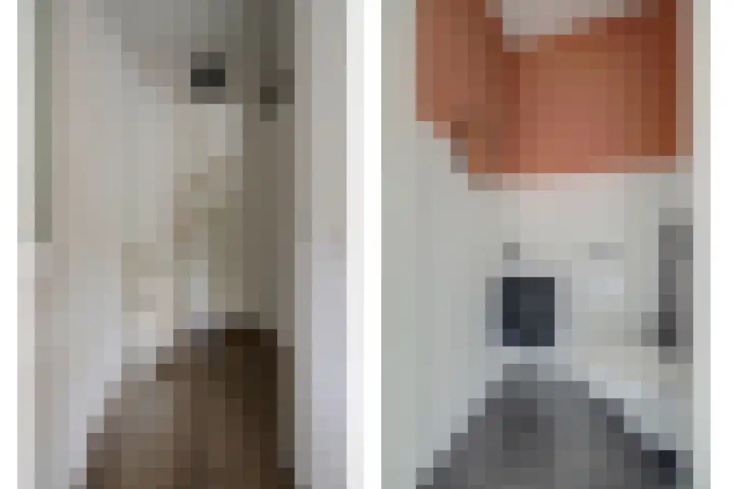 Dosiostraat 121 Rotterdam thumbnail 4