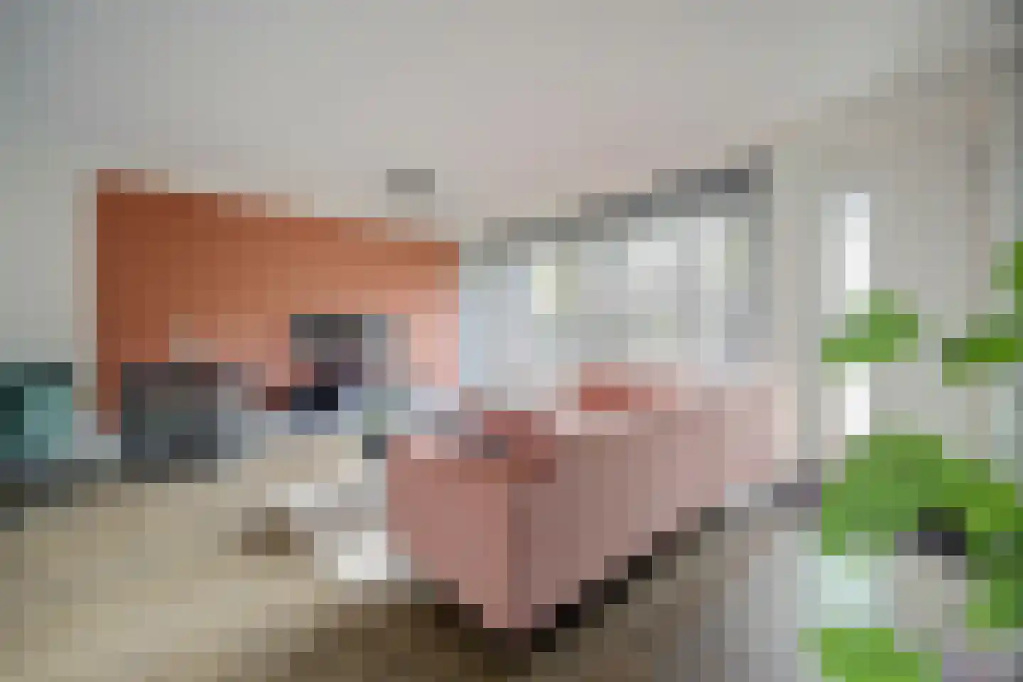 Dosiostraat 121 Rotterdam thumbnail 5