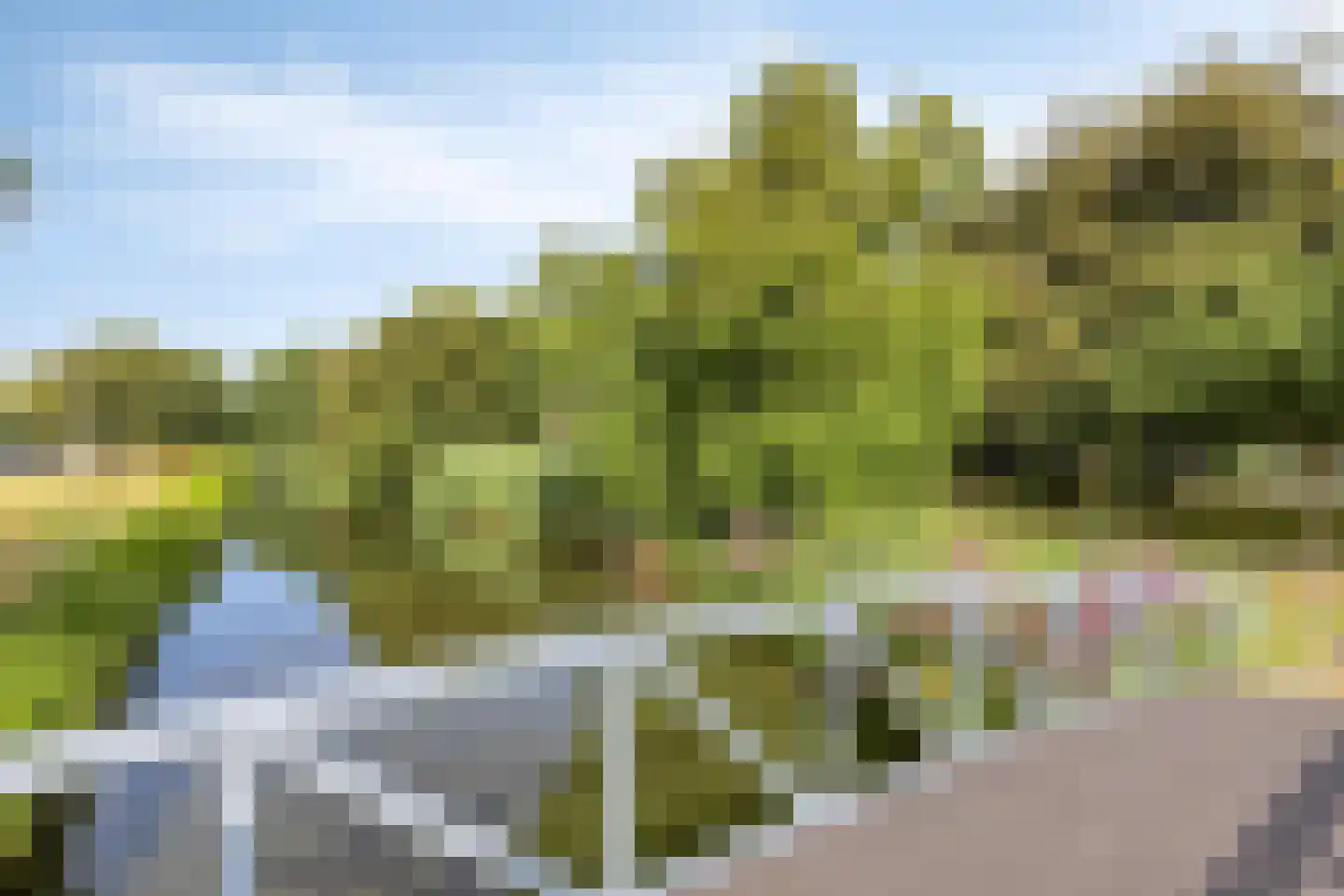 Dosiostraat 32 Rotterdam thumbnail 16