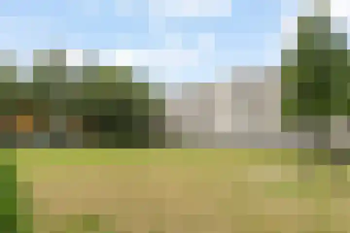 Dosiostraat 58 Rotterdam thumbnail 20
