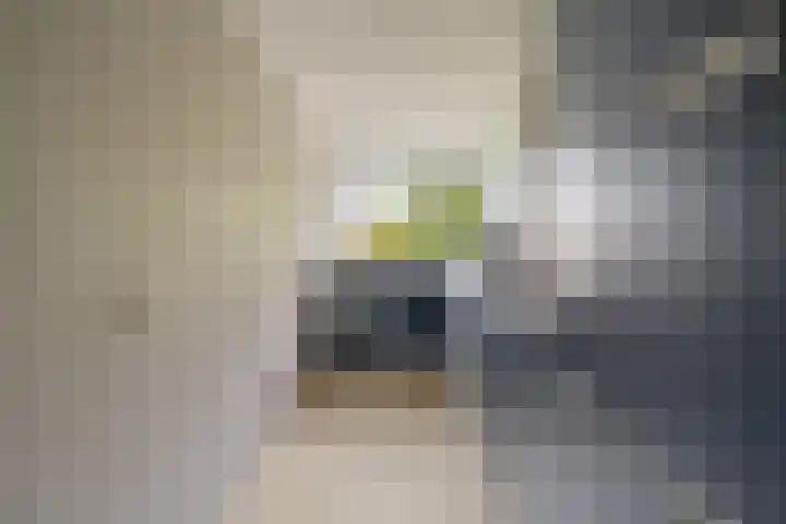 Dosiostraat 58 Rotterdam thumbnail 6