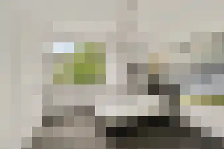 Dosiostraat 58 Rotterdam thumbnail 8