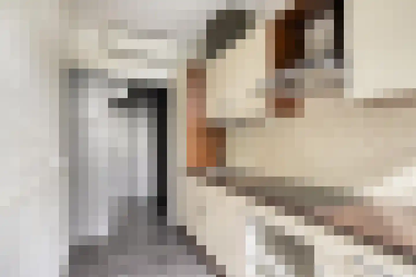 Dosiostraat 68 Rotterdam thumbnail 11