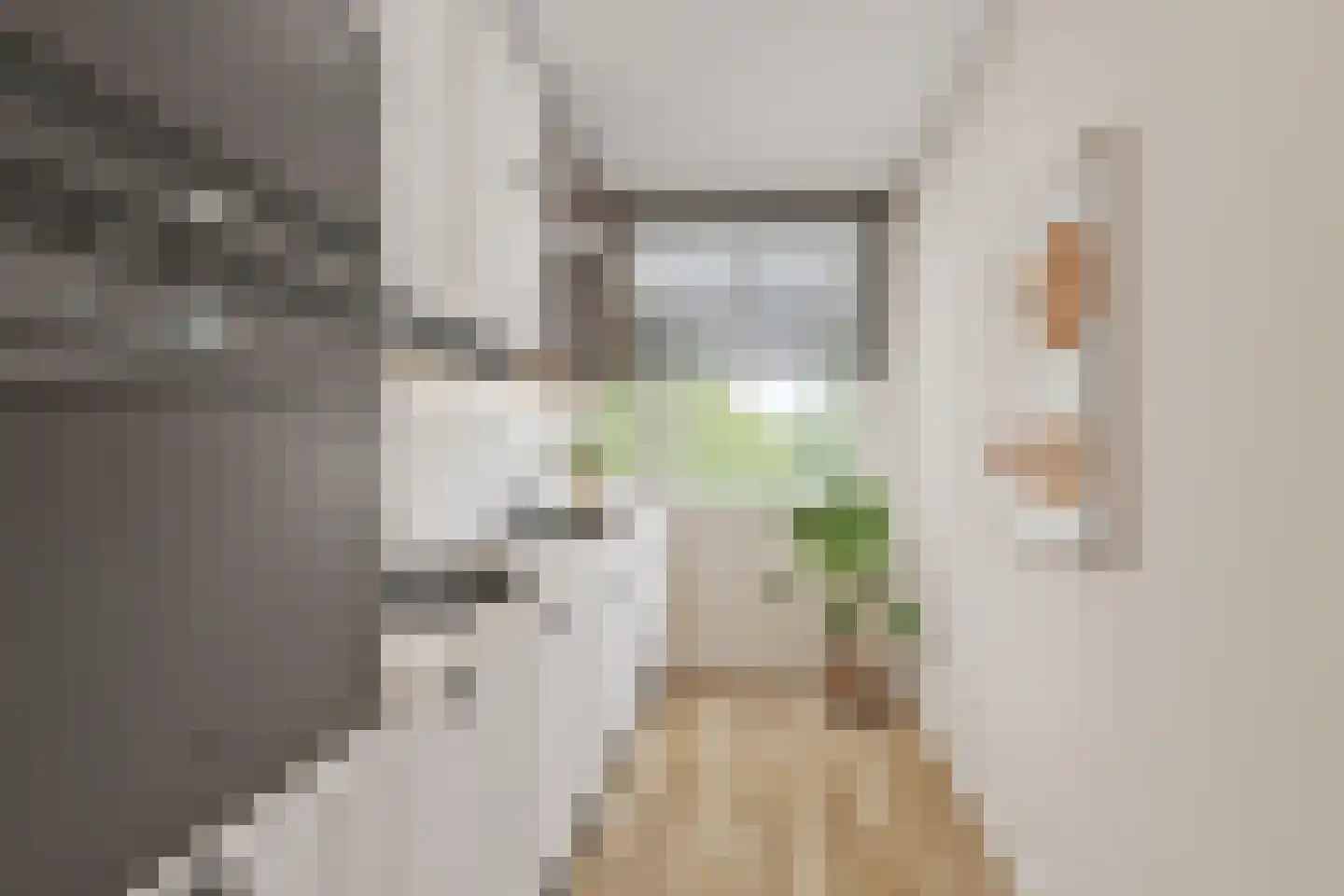 Dosiostraat 68 Rotterdam thumbnail 12