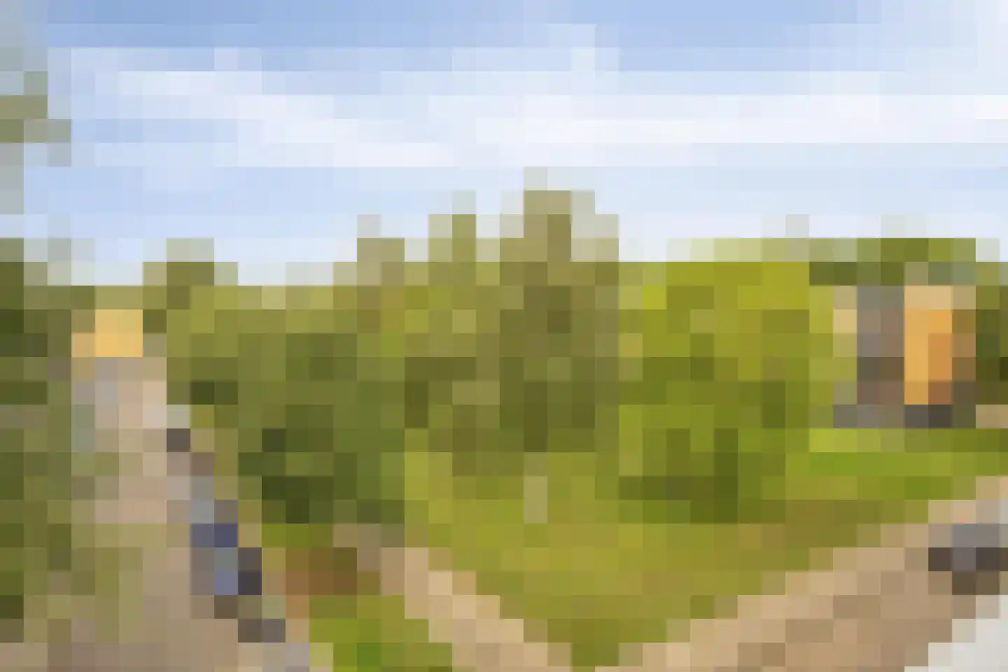 Dosiostraat 68 Rotterdam thumbnail 9