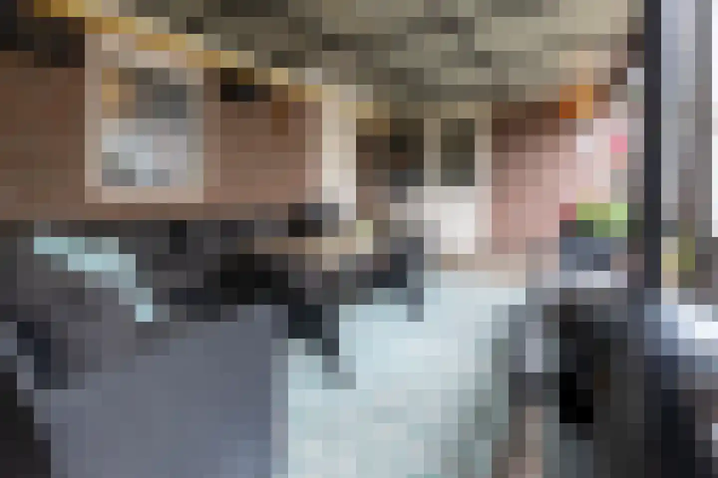 Dostalstraat 20 Bergen op Zoom thumbnail 35