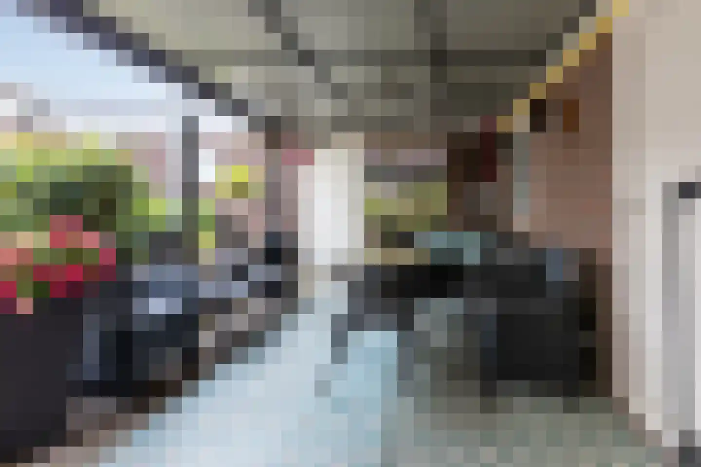 Dostalstraat 20 Bergen op Zoom thumbnail 36