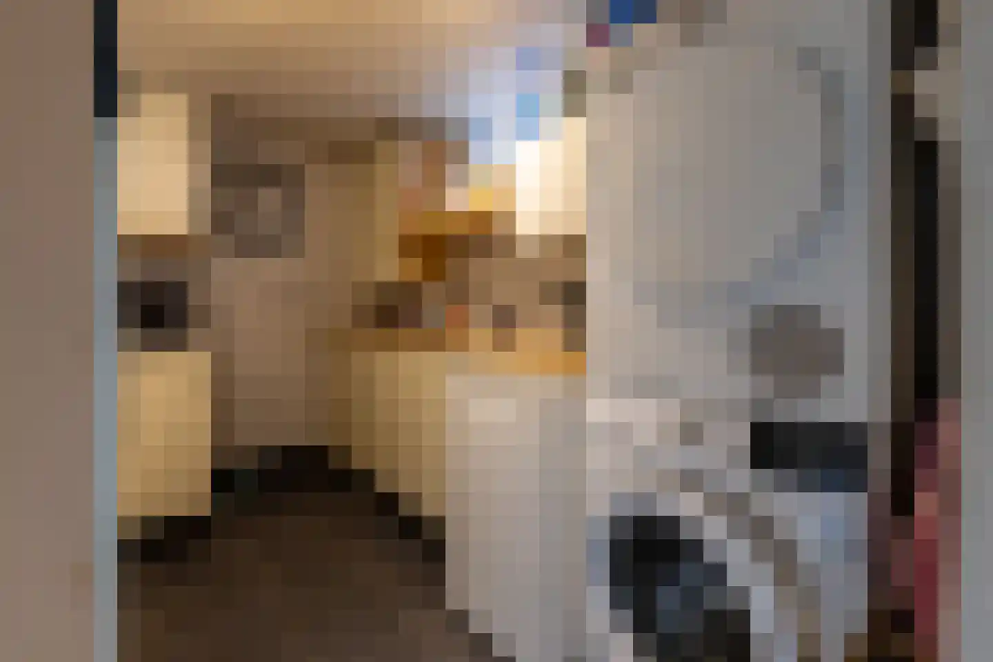 Dostalstraat 20 Bergen op Zoom thumbnail 38