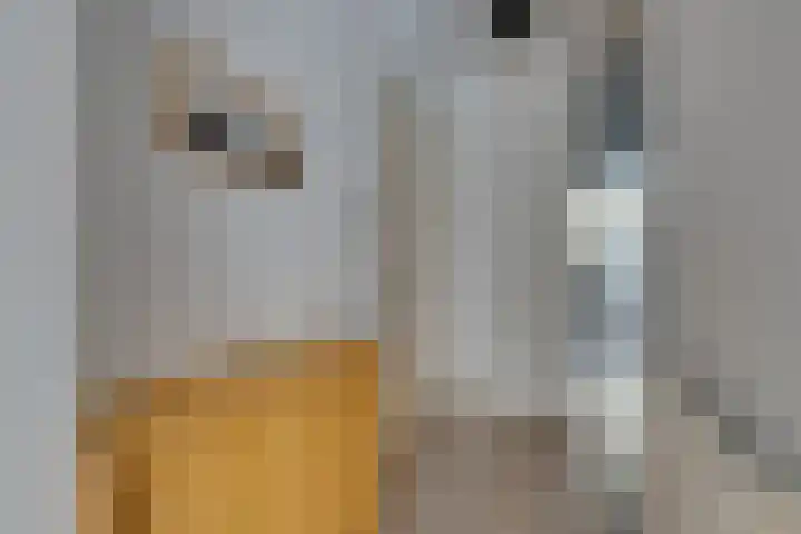 Dostojevskisingel 137 Amsterdam thumbnail 13