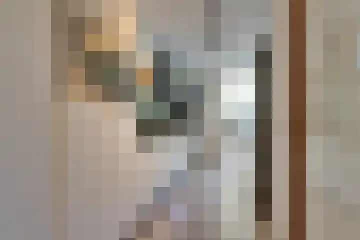 Dostojevskisingel 137 Amsterdam thumbnail 14