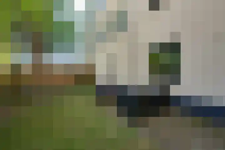 Dostojevskisingel 137 Amsterdam thumbnail 20