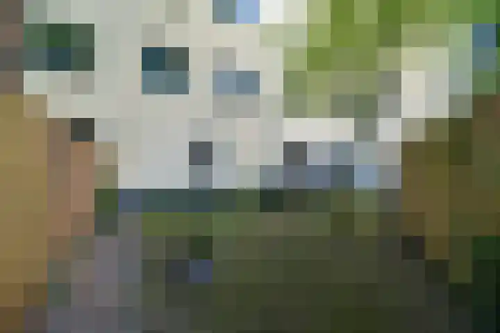 Dostojevskisingel 137 Amsterdam thumbnail 21