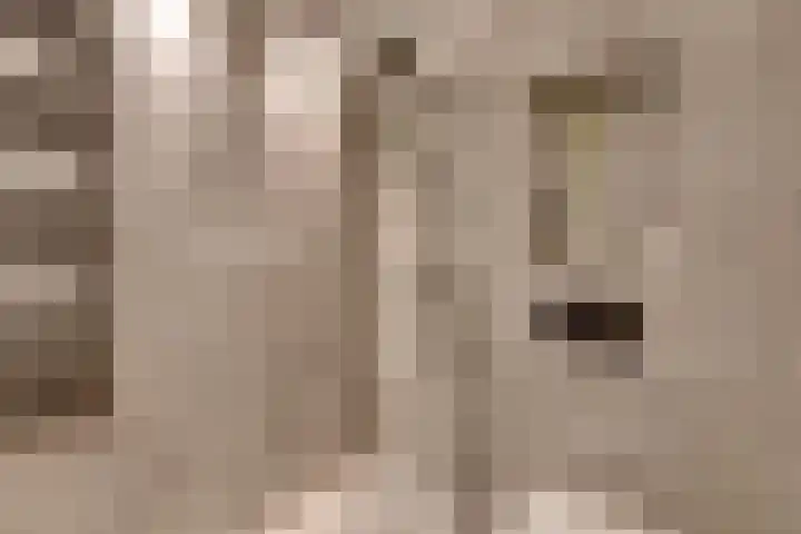 Dostojevskisingel 137 Amsterdam thumbnail 27
