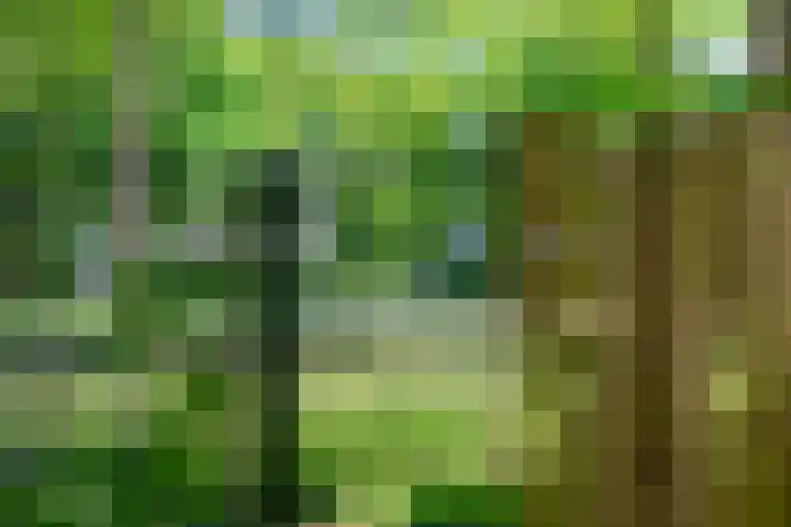 Dostojevskisingel 137 Amsterdam thumbnail 30
