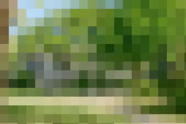 Dostojevskisingel 137 Amsterdam thumbnail 32