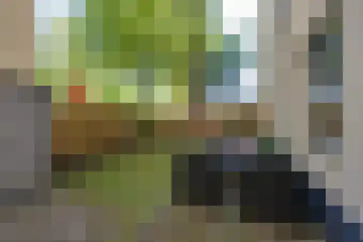 Dostojevskisingel 137 Amsterdam thumbnail 4