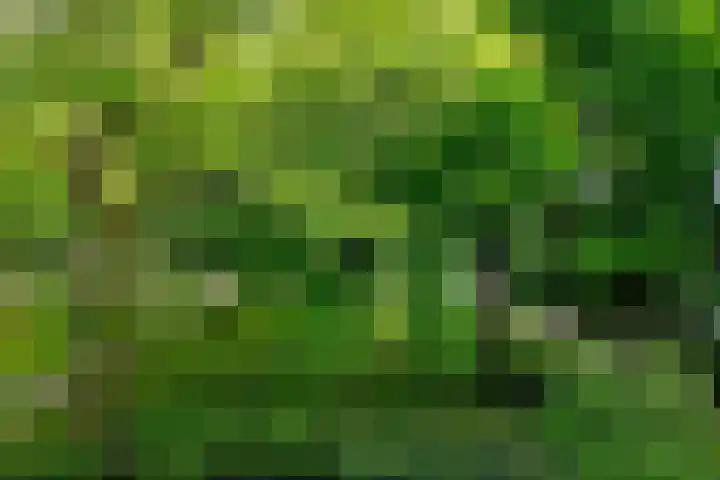 Dostojevskisingel 285 Amsterdam thumbnail 12