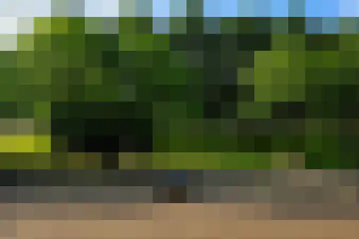 Dostojevskisingel 285 Amsterdam thumbnail 25