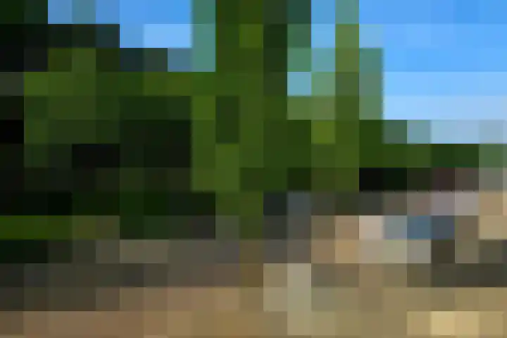 Dostojevskisingel 285 Amsterdam thumbnail 26