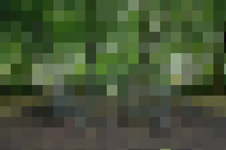 Dostojevskisingel 285 Amsterdam thumbnail 29