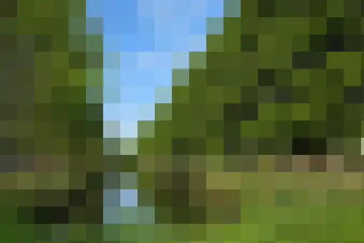 Dostojevskisingel 285 Amsterdam thumbnail 30