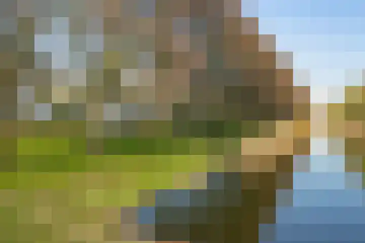 Dostojevskisingel 285 Amsterdam thumbnail 32