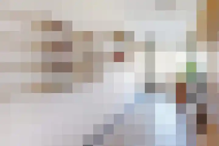 Dostojevskisingel 285 Amsterdam thumbnail 9